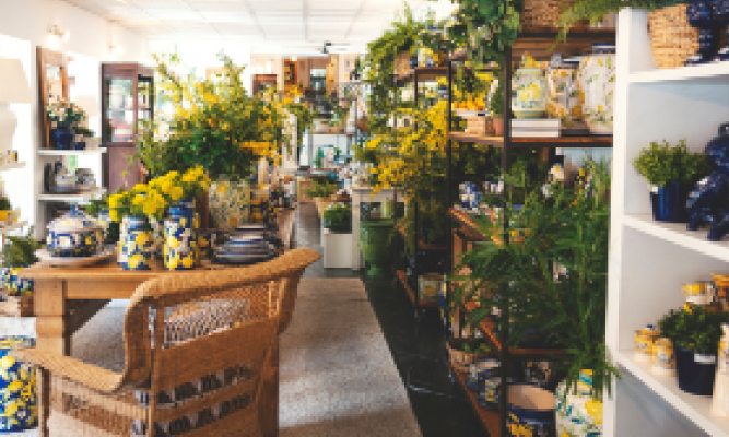 storedecoration